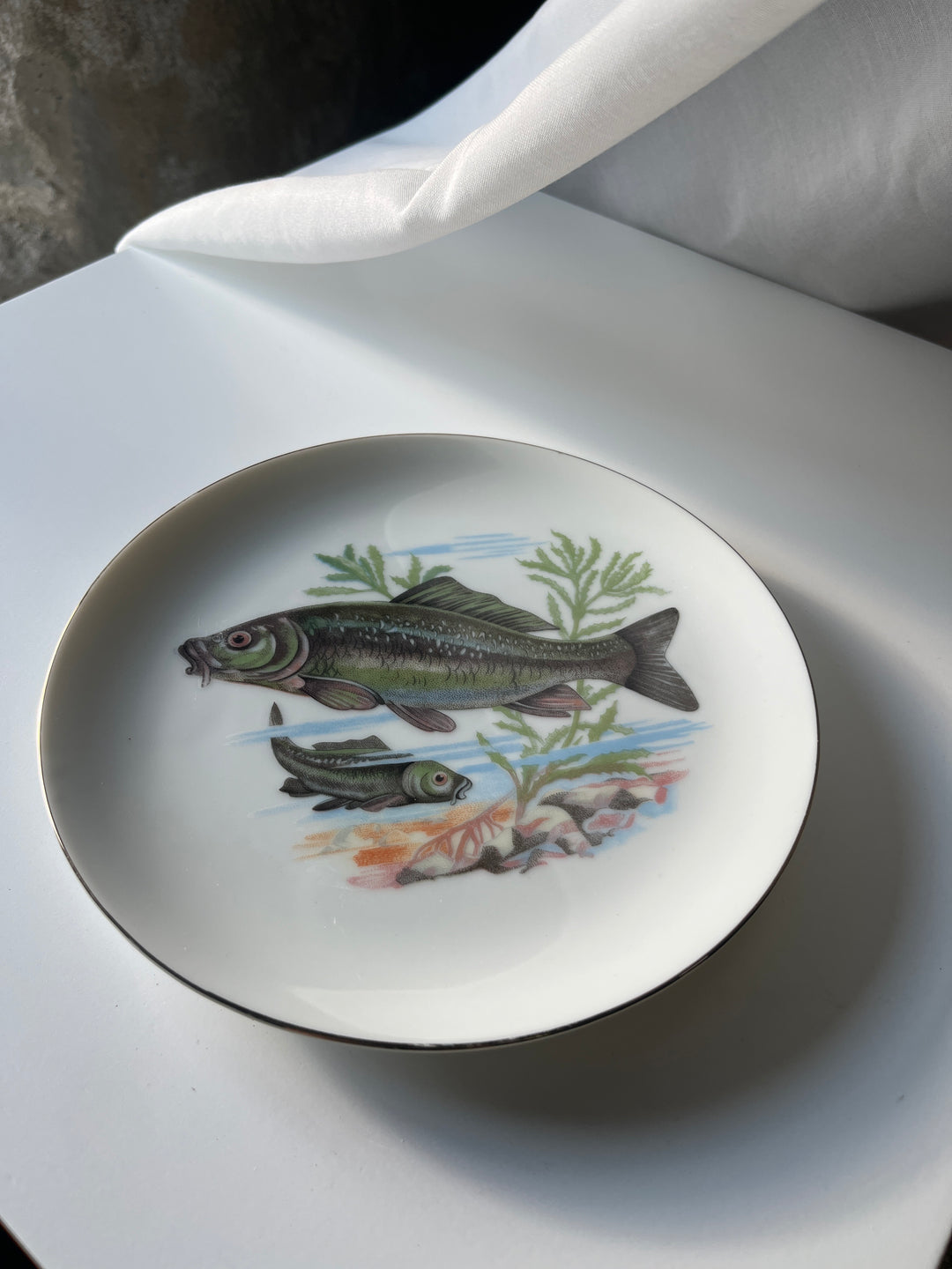 Fish plates Japanese