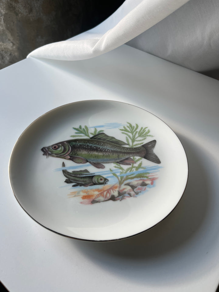Fish plates Japanese
