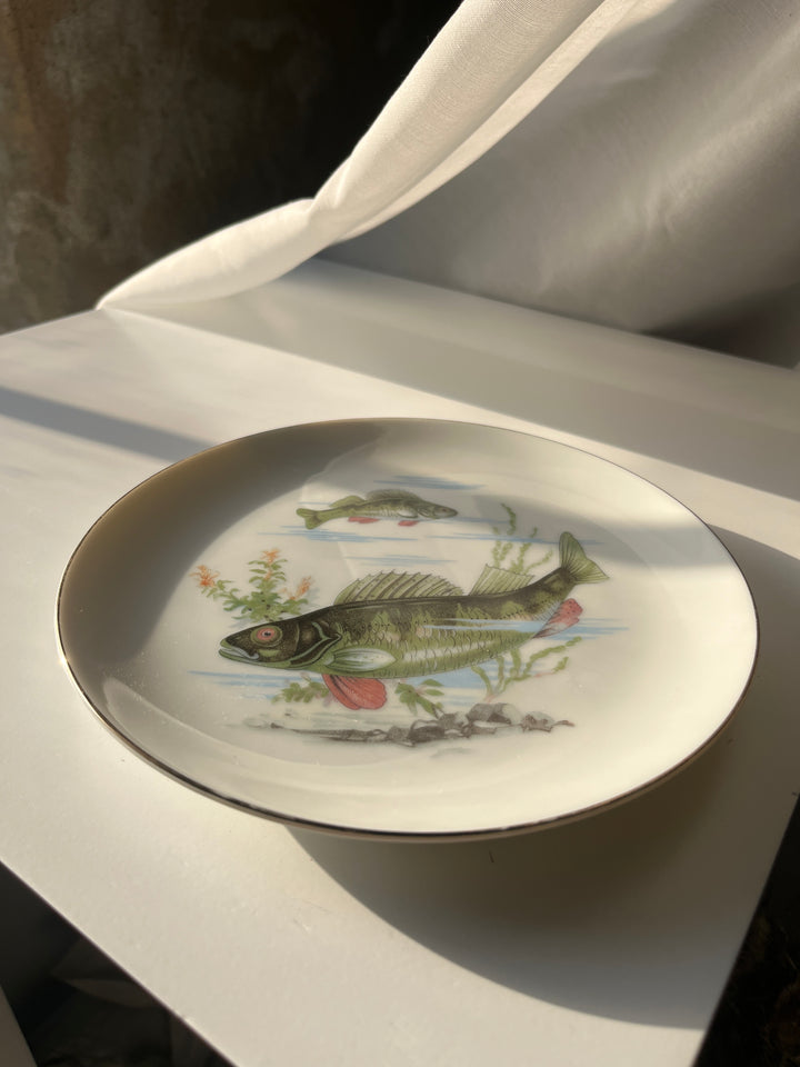 Fish plates Japanese