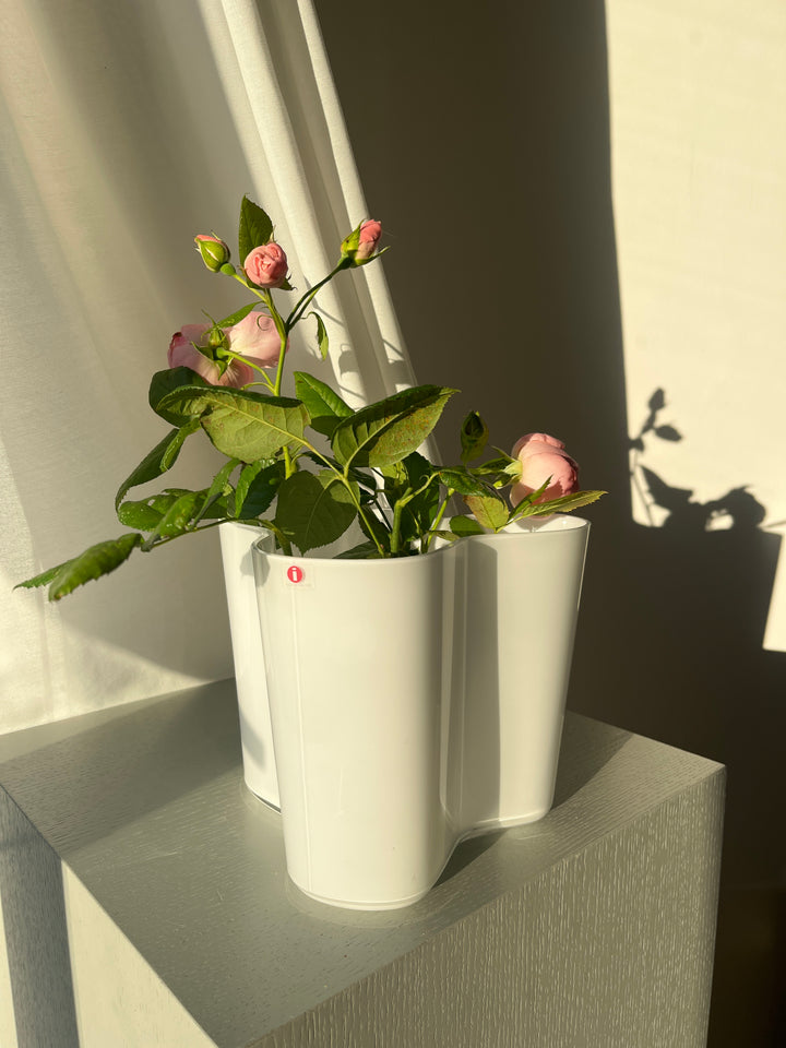 Alto vase - Littala