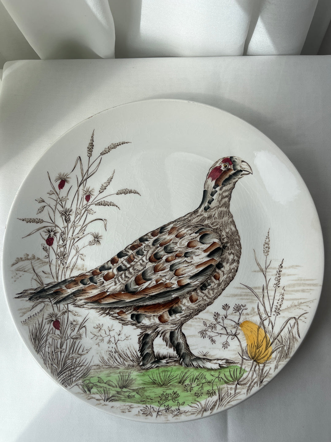 Tallerken fuglemotiv’ Wild Birds - England