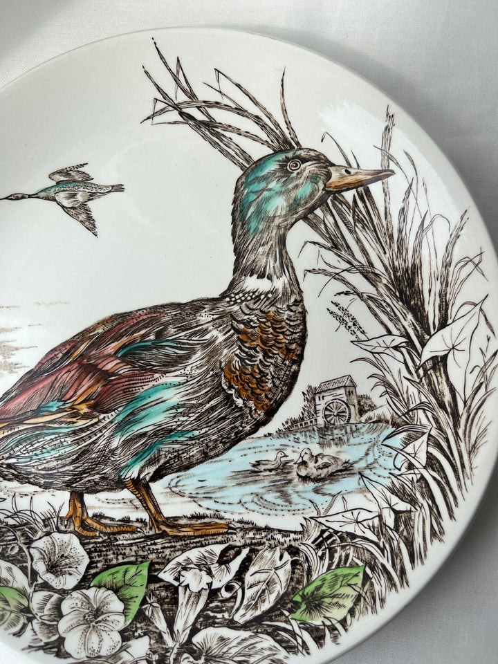 Tallerken fuglemotiv’ Wild Birds - England