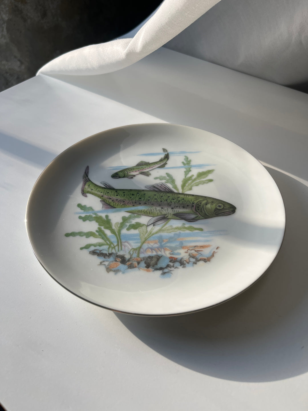 Fish plates Japanese