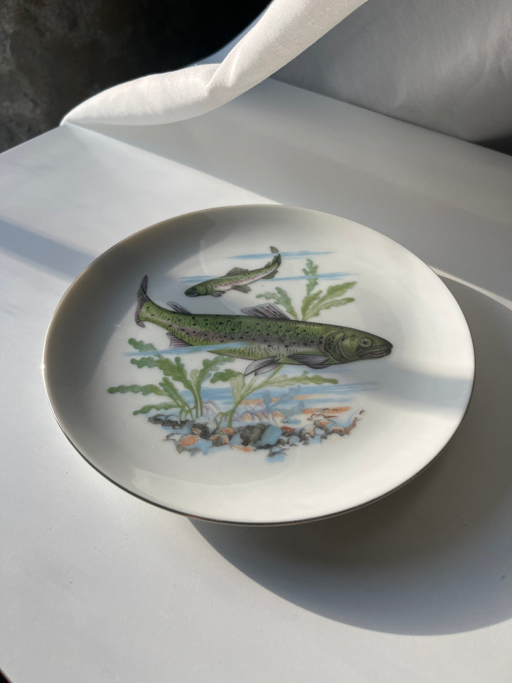 Fish plates Japanese