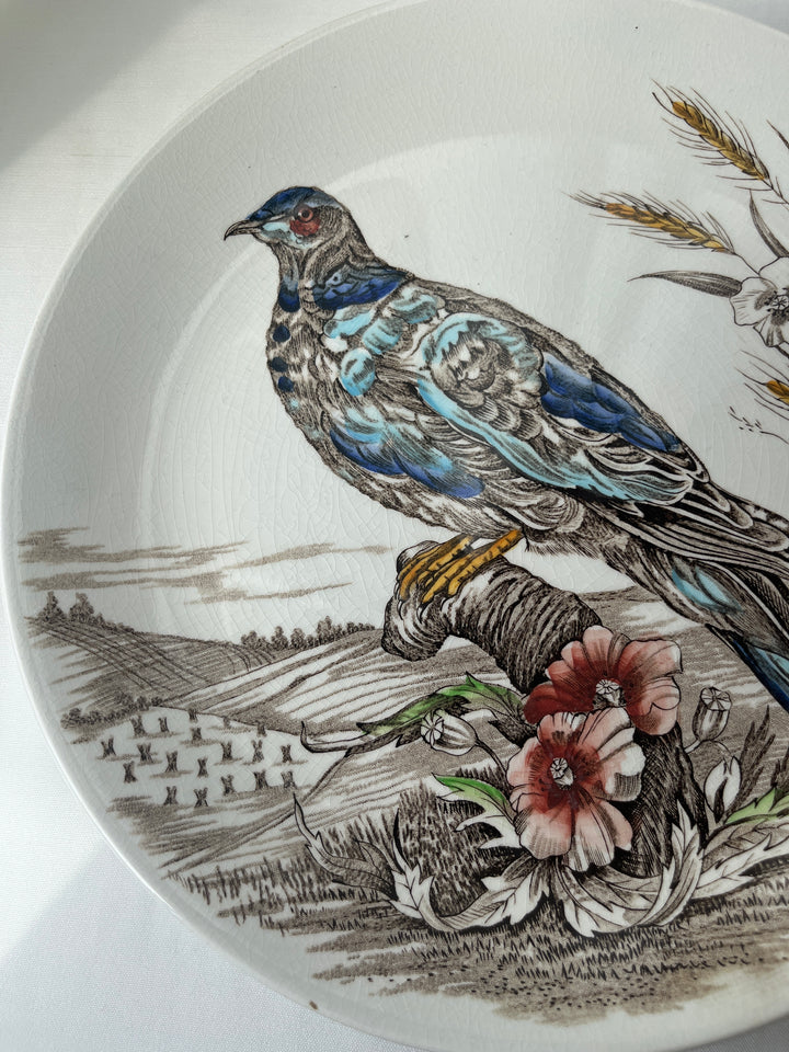 Tallerken fuglemotiv’ Wild Birds - England