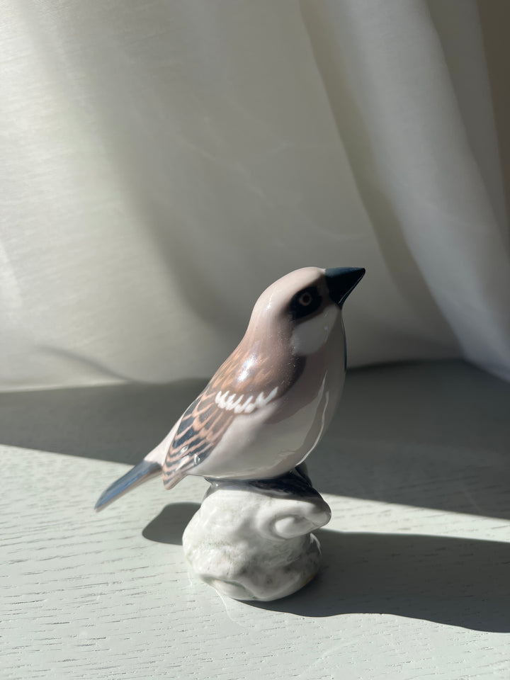 Bing &amp; Grøndahl  Gråspurv