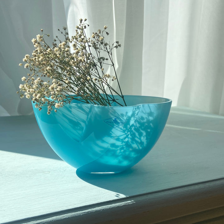 🆘Royal Copenhagen Glass Bowl