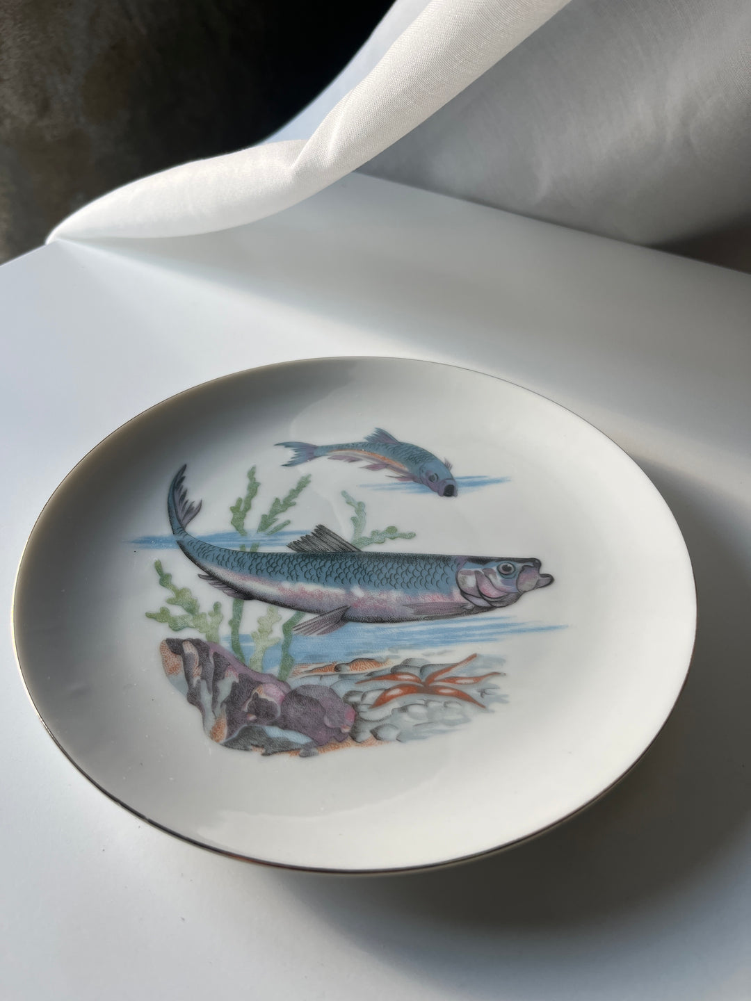 Fish plates Japanese