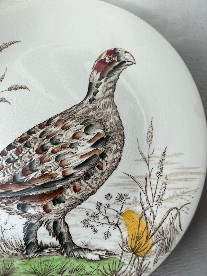 Tallerken fuglemotiv’ Wild Birds - England