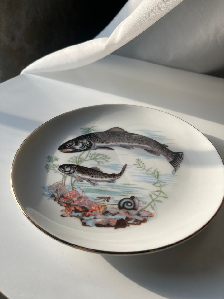 Fish plates Japanese