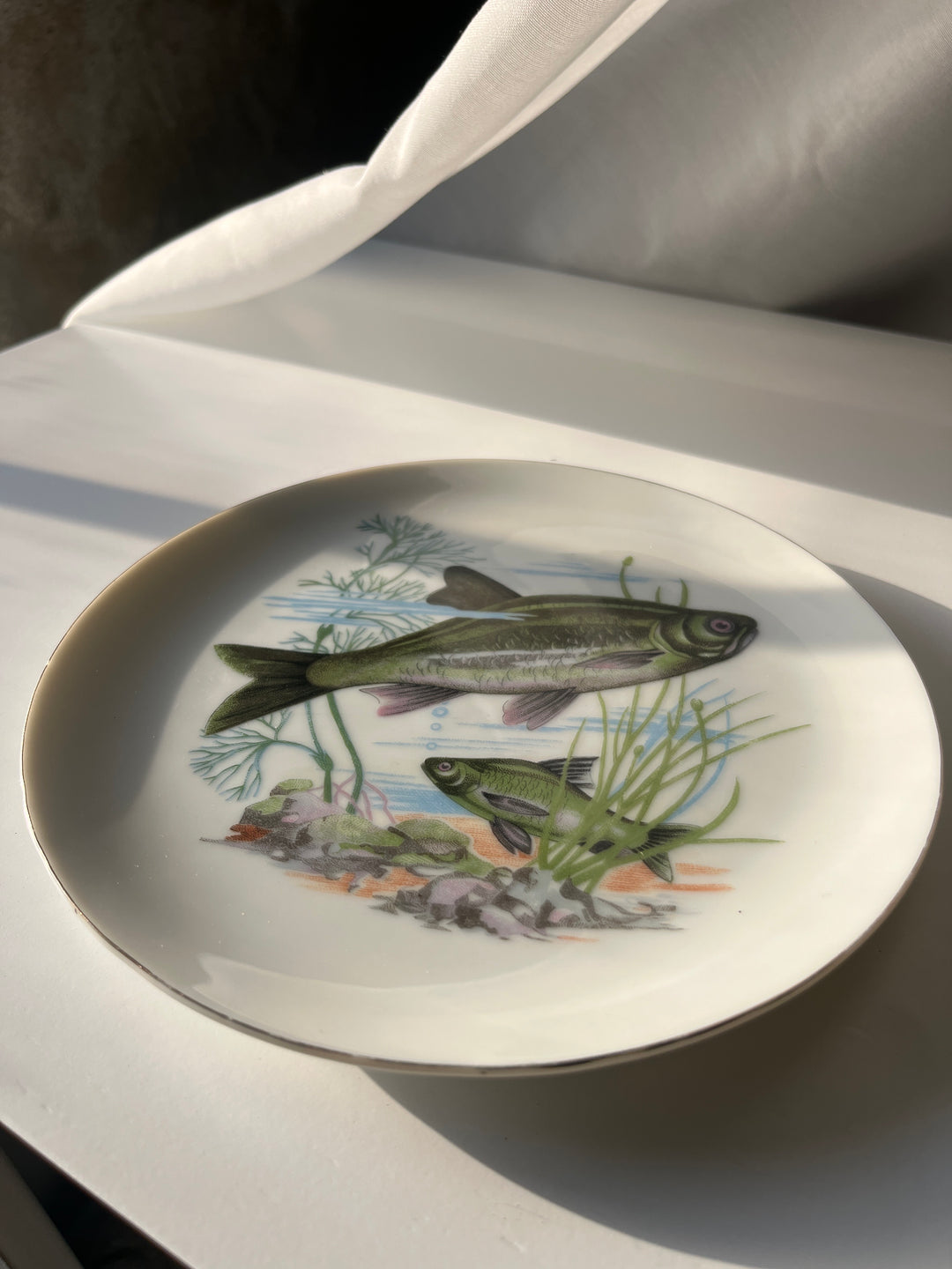 Fish plates Japanese