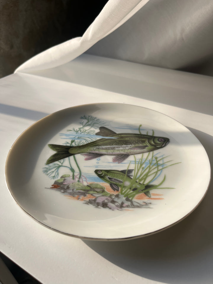 Fish plates Japanese