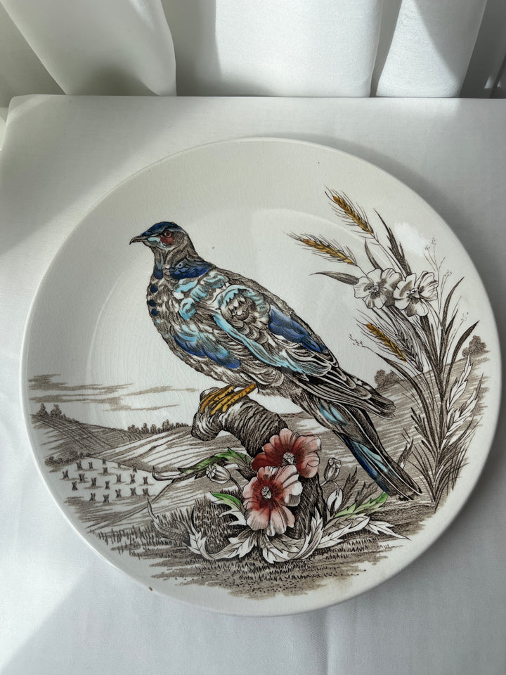Tallerken fuglemotiv’ Wild Birds - England