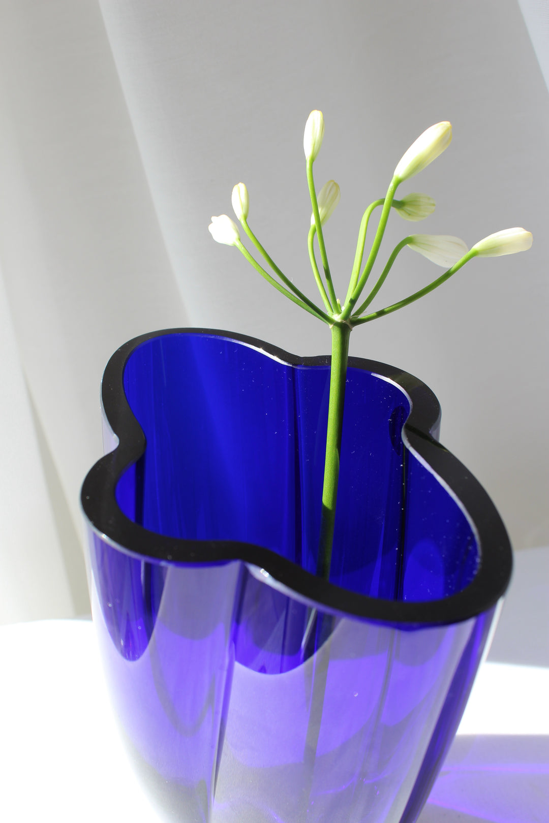 Royal Copenhagen - &
