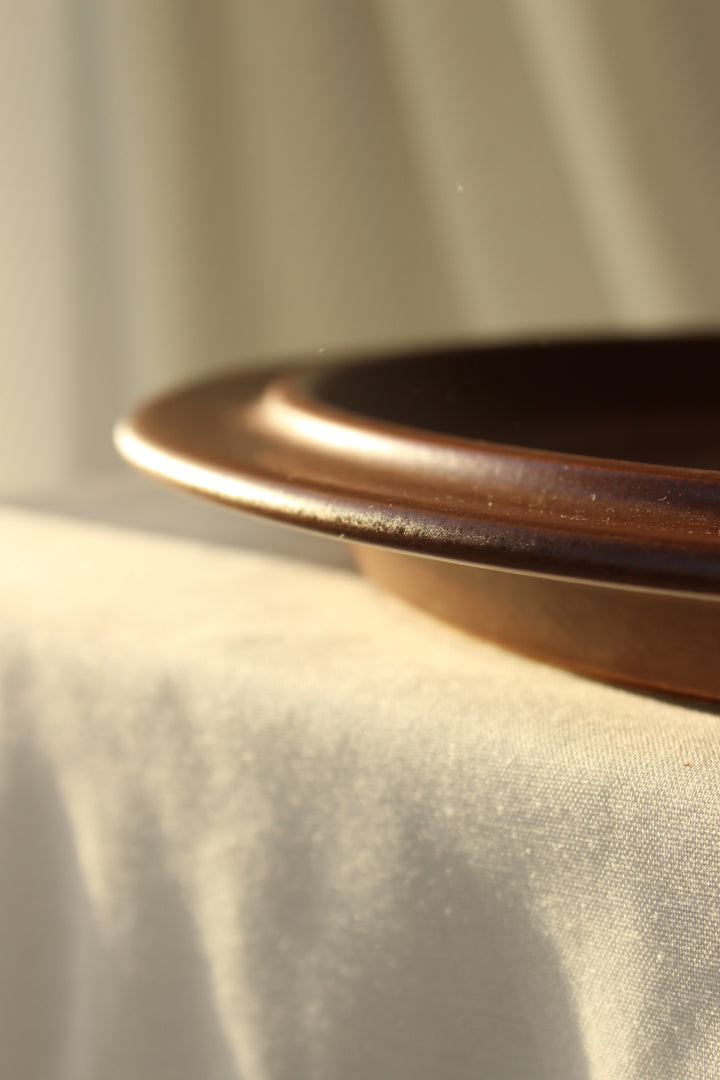 Dish
