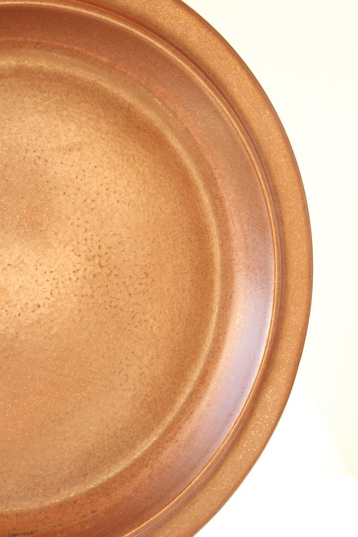 Dish