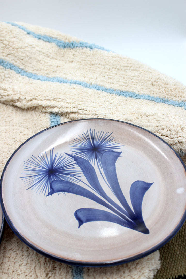 Hand-painted Italian plates, 2 pieces.